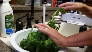 cleaning kale